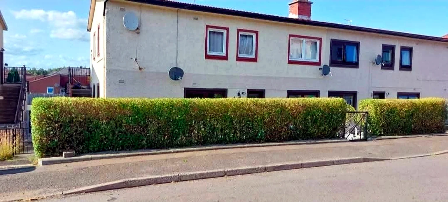 Front hedge after trimming and reshaping