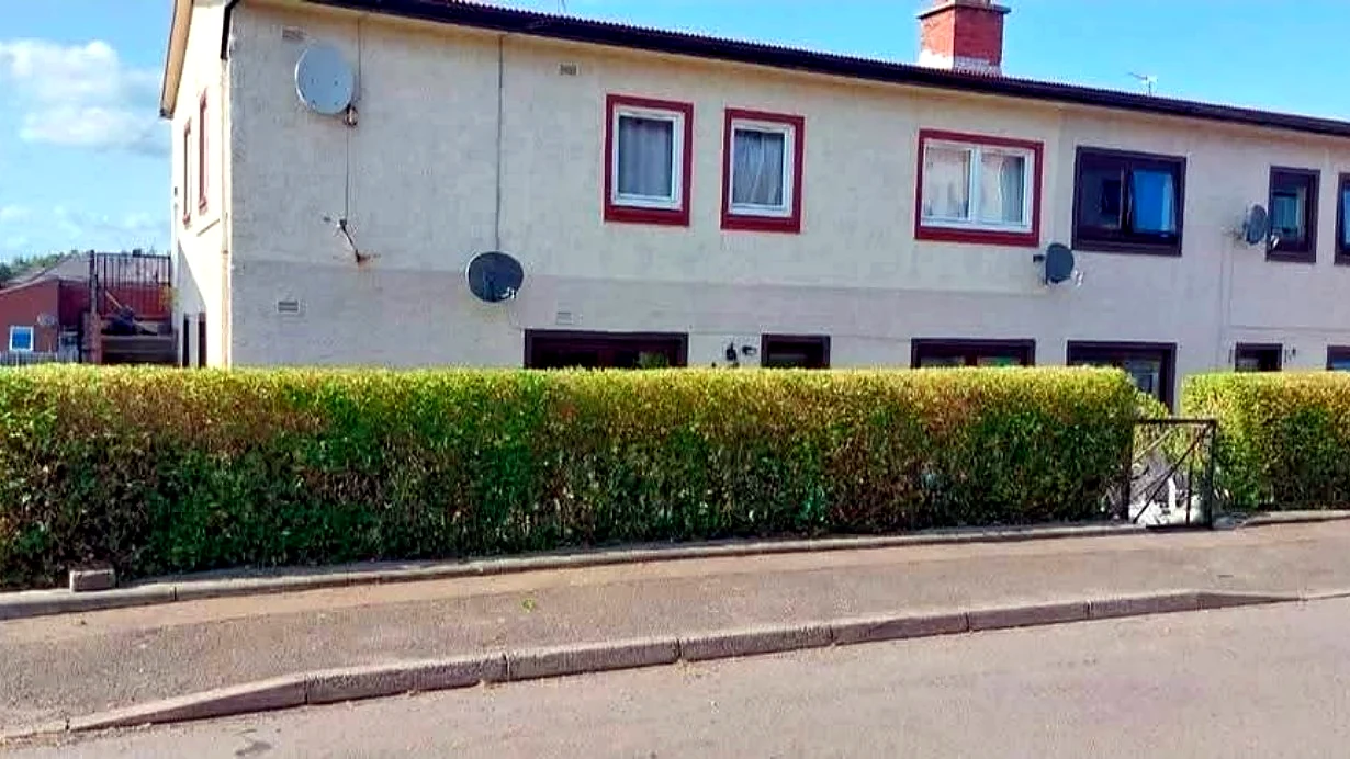 Freshly trimmed hedge outside a residential property